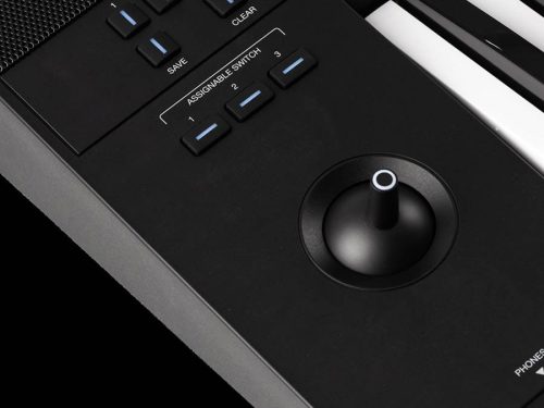 Medeli DANTE-ZEN - Oriental-Arabische Digitale Workstation – 61 anschlagdynamische Tasten, 7” Touchscreen, Orientalische Soundbank, 768 MB Sampler