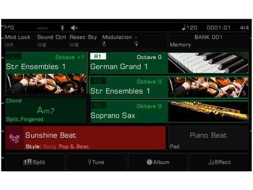 Medeli DANTE-ZEN - Oriental-Arabische Digitale Workstation – 61 anschlagdynamische Tasten, 7” Touchscreen, Orientalische Soundbank, 768 MB Sampler