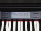 Medeli DP740KBK Forte Series 88-Tasten Graded Hammer Action Digitalpiano, Dreifachsensor, 2x65W Lautsprecher, Schwarz