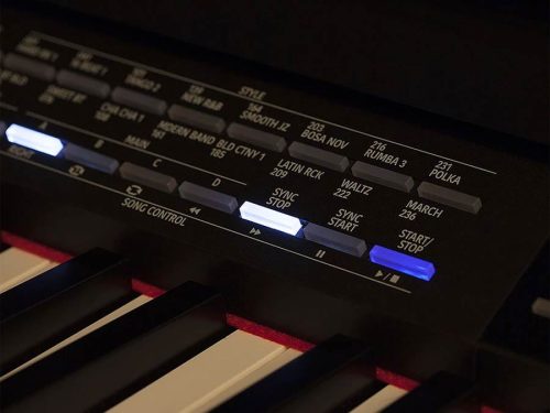 Medeli DP740KBK Forte Series 88-Tasten Graded Hammer Action Digitalpiano, Dreifachsensor, 2x65W Lautsprecher, Schwarz