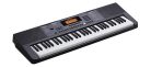 Medeli MK200 Millenium Series Electronic Organ, 61 Touch-Sensitive Keys, Backlit LCD, 2 x 2.5W