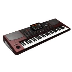   KORG Pa1000 Professional Arranger Keyboard, EDS-X Sound Engine, 7-Inch TouchView Display, KAOSS FX