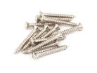 0015610049 Fender Genuine Replacement Part bass bridge mounting screws, 5 x 1", chrome, 12 pcs