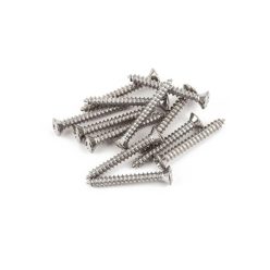   0021422049 Fender Genuine Replacement Part bridge mounting screws, 5 x 1, chrome, 12 pcs