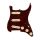 0992340500 Fender Pre-Wired Strat Pickguard Custom Shop Fat 50's SSS, 11 screw holes, tortoise shell