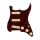 0992341500 Fender Pre-Wired Strat Pickguard Custom Shop Custom '69 SSS, 11 screw holes,  tortoise shell