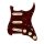 0992346500 Fender Pre-Wired Strat Pickguard Hot Noiseless SSS, 11 screw holes, tortoise shell