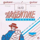 1610 Argentine  string set acoustic, silverplated steel core, 010-045, light tension, ball end