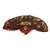 18A0052 Martin SPA  pick pack 346 shape .46mm faux tortoise Light 12 pcs