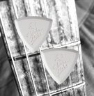 2-BEP-21 ChickenPicks  Bermuda IIIP 2.1mm guitar pick 2-pack