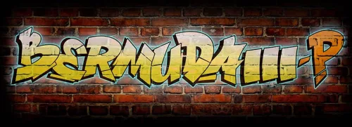 2-BEP-21 ChickenPicks  Bermuda IIIP 2.1mm guitar pick 2-pack