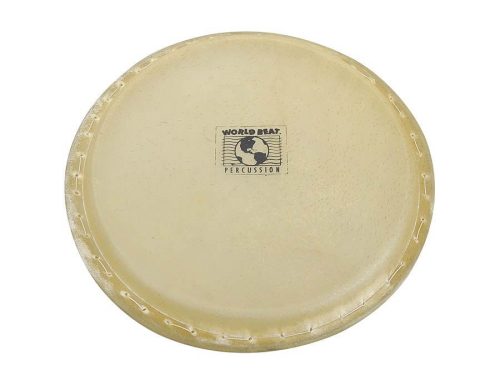 5550069184 Fender Outlet Latin Percussion conga head 11", rawhide buffalo skin