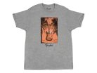 9170001406 Fender Clothing T-Shirts surf t-shirt, gray heather, M