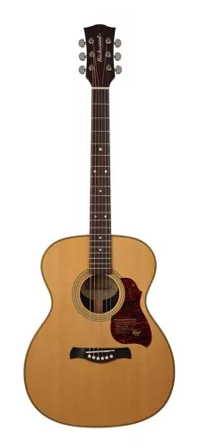 A-65-VA Richwood Master Series handmade auditorium OOO guitar, solid spruce & rosewood, vintage aged finish