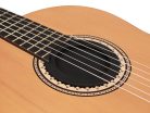 AGM-85 Boston  classic guitar mute, soundhole mount, 8,5cm soundhole diameter (standard size)