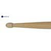 AGN-5B-B Agner  5-B drumsticks, pair, hickory, 15,4 x 412 mm., blue/medium weight