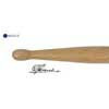 AGN-REC-B Agner  Rene Creemers signature drumsticks, pair, hickory, blue/medium weight, 16,3 x 410 mm.