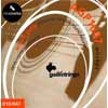 AGP1047 Galli ProCoated Phosphor Bronze string set acoustic, phosphor bronze wound, extra light, 010-047