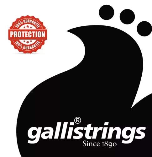 AGP1152 Galli ProCoated Phosphor Bronze string set acoustic, phosphor bronze wound, special light, 011-052