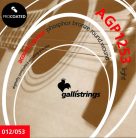 AGP1253 Galli ProCoated Phosphor Bronze string set acoustic, phosphor bronze wound, light, 012-053