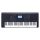 AK603 Medeli Arranger Pro Series digital workstation, 61 touch sensitive keys, 2 x 25 watt + 2 x 15 watt