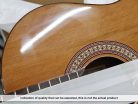 B/CC-22L Salvador Cortez  B-stock guitar with minor finishing flaws