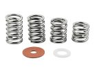 B-SPRWPCK-ST Bigsby  spring and washer pack, steel