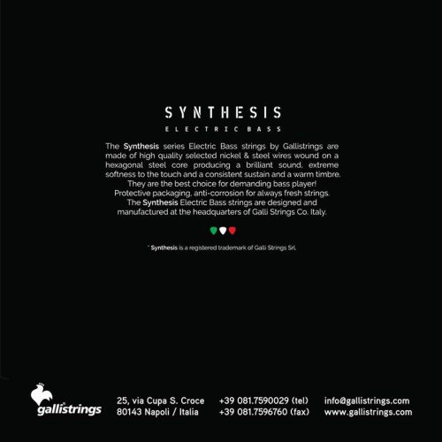 BSN-28128 Galli Synthesis 6-string set electric bass, nickel and steel double winding, reg cust taper, 028-043-062-085-102-12