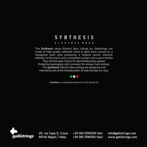 BSN35125UP Galli Synthesis 6-string set electric bass, Udo Pannekeet Custom, 035-045-065-085-105-125 extra long scale