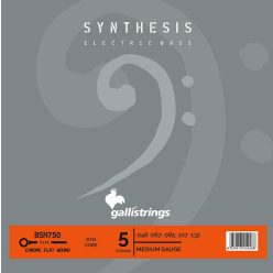   BSN750 Galli Synthesis 5-string set electric bass, synthetic and chrome flatwound, medium, 048-067-085-107-132