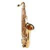 BX-720 Belcanto X-Series C-note saxophone, gold lacquer