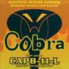 CAPB-11-L Cobra  string set acoustic, phosphor bronze wound light, 011-015-023-030-039-050