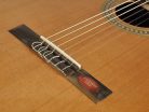 CC-10 Salvador Cortez Student Series classic guitar, cedar top, sapele b&s, natural