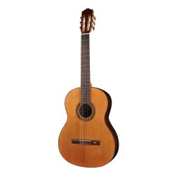   Salvador Cortez CC-15 klasszikus gitár – cédrus tető, fekete dió, nyakmerevítő, Student Series