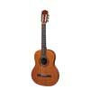 CC-22-JR Salvador Cortez Solid Top Artist Series classic guitar, solid Canadian cedar top, sapele b&s, 3/4 junior model, 580mm