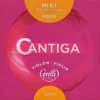 CO-901-FB Corelli Cantiga violin string E-1 4/4, heavy, steel, ball end