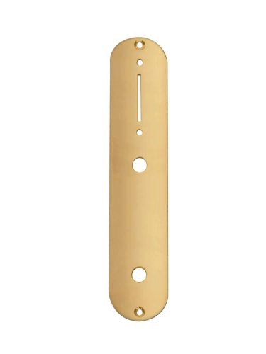 CP-TE-AG Boston  control plate, 32x160mm, Teaser, 9,5mm holes for inch pots, gold