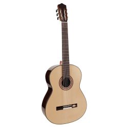   CS-60-BA Salvador Cortez Solid Top Concert Series 6-string bass guitar, solid spruce top, rosewood b&s, deluxe gigbag