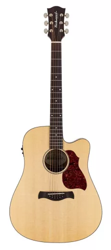 D-20-CE Richwood Master Series handmade dreadnought guitar, solid spruce & mahogany, satin finish, cutaway, Isys+