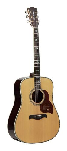 D-270-VA Richwood All Solid Master Series custom shop dreadnought, spruce & rosewood, ebony fb, real abalone, vintage aged finish, gigbag