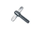 D-6-20 Hayman  wing bolt, 8x20mm