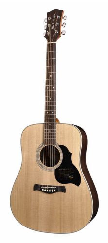 D-60 Richwood Master Series handmade dreadnought guitar, solid spruce & rosewood, gloss finish