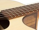 DAIMEN Kremona Performer Series classic guitar solid spruce and walnut, 14 fret, gloss finish - with LR Baggs EAS