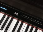 DP650KRW Medeli Forte Series digital home piano, 88 keys graded hammer action, triple sensor (K8), 2 x 40 watt - rosewood