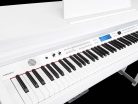 DP740KWH Medeli Forte Series digital home piano, 88 keys graded hammer action, triple sensor (K8), 2 x 65 watt - white