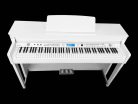 DP740KWH Medeli Forte Series digital home piano, 88 keys graded hammer action, triple sensor (K8), 2 x 65 watt - white