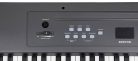 DSP388BK Boston  digital stage piano with 88 hammer action keys, 8 voices, 2x10W -  black