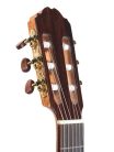 F65CW-TLR Kremona Performer Series thinline classic guitar solid cedar and indian rosewood, gloss finish - with Fishman Presys Pro