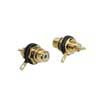 FRCA-10-BK Boston  tulp chassisdeel, female, metal gold lacker, gold contacts, 2 pcs, black ring