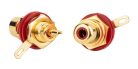 FRCA-10-RD Boston  tulp chassisdeel, female, metal gold lacker, gold contacts, 2 pcs, red ring